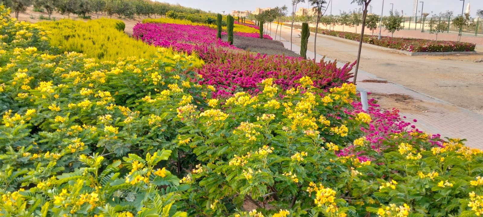 Landscape works
