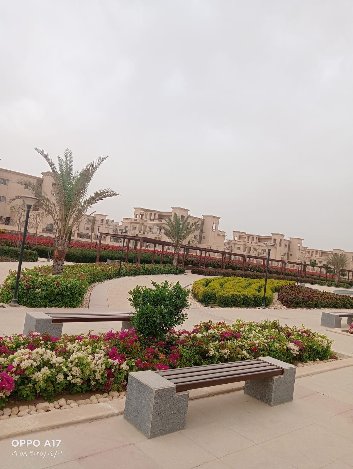 Landscape project