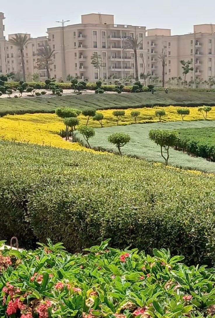 Landscape project