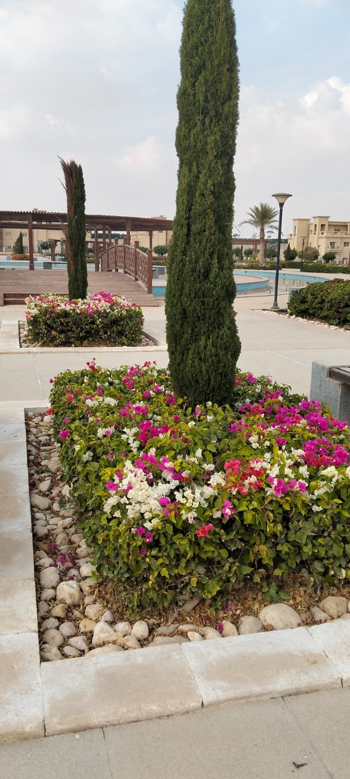 Landscape project