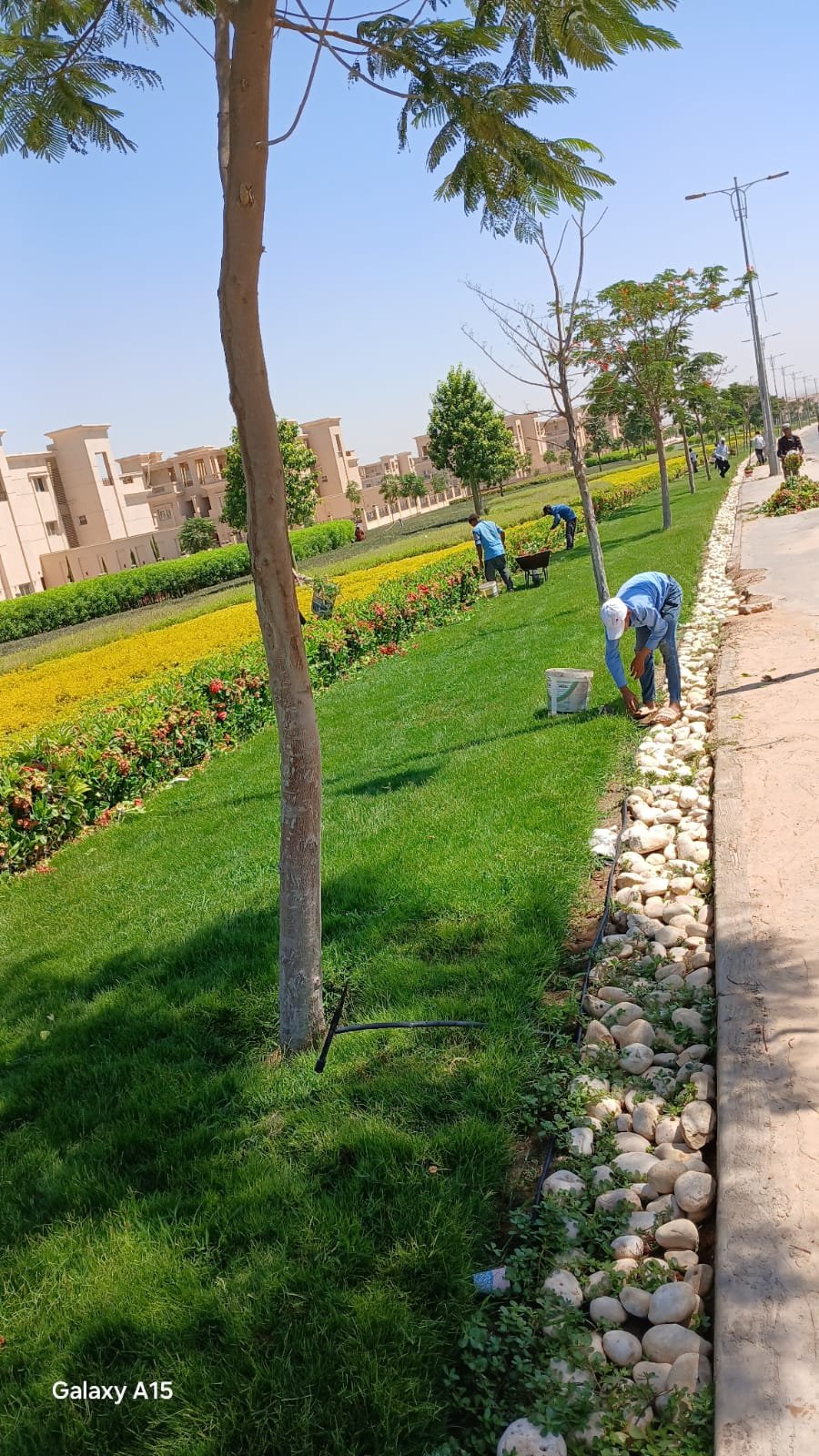 Landscape project