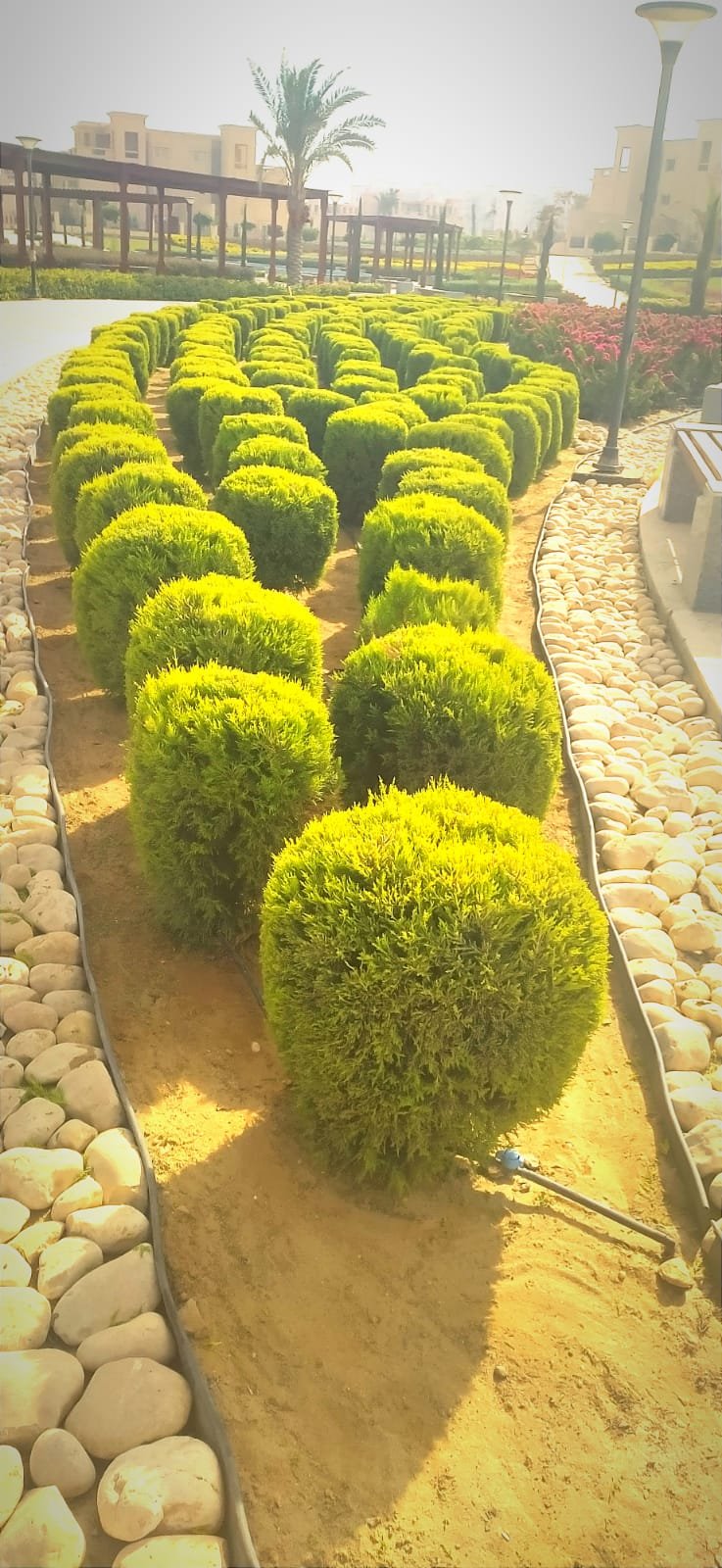 Landscape works