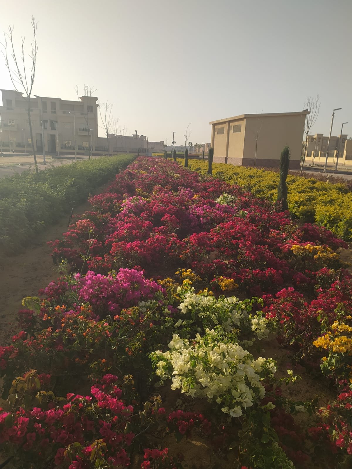 Landscape project